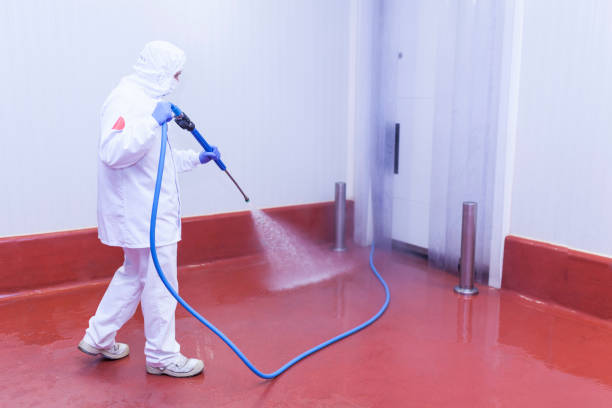 Best Spring Cleaning  in Bennettsville, SC