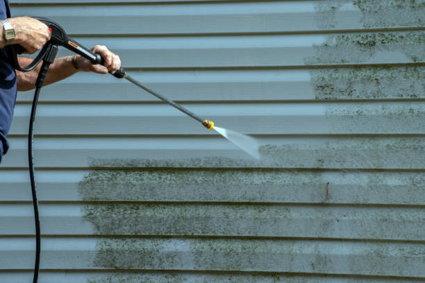 Best Roof Washing  in Bennettsville, SC